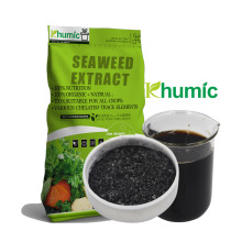 Seaweed Extract Granule from Sea Kelp / Alga Ascophyllum Nodosum algas marinas Fertilizer